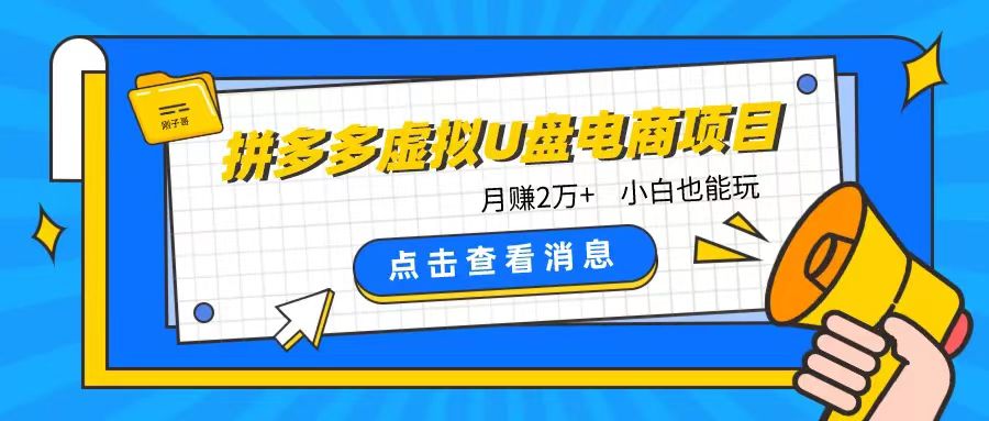 拼多多虚拟U盘电商红利项目：月赚2万+，新手小白也能玩-屿汉资源站