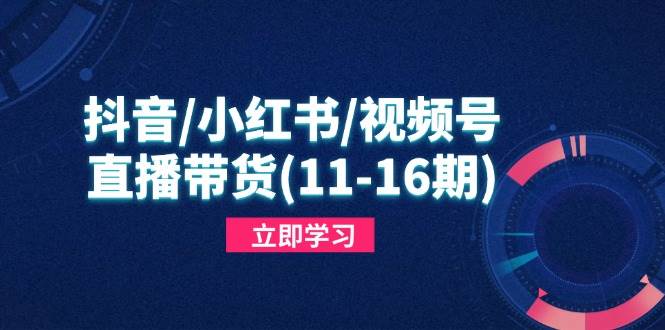 （14611期）抖音/小红书/视频号/直播带货(11-16期)，快速掌握平台规则，打造爆款内容-屿汉资源站