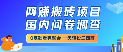 网创搬砖项目，国内问卷调查，小白轻松上手，一天三四张的也不难，干就完了【揭秘】-屿汉资源站