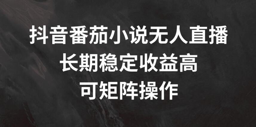 抖音番茄小说无人直播，长期稳定收益高，可矩阵操作-屿汉资源站