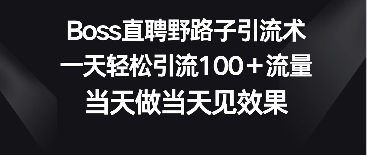 Boss直聘野路子引流术，一天轻松引流100+流量，当天做当天见效果-屿汉资源站
