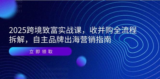 （14975期）2025跨境致富实战课，收并购全流程拆解，自主品牌出海营销指南-屿汉资源站