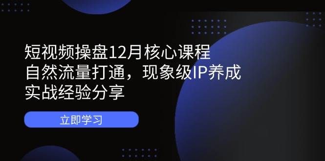 （14447期）短视频操盘12月核心课程：自然流量打通，现象级IP养成，实战经验分享-屿汉资源站