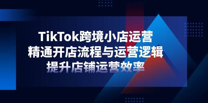 （14369期）TikTok跨境小店运营，精通开店流程与运营逻辑，提升店铺运营效率-屿汉资源站