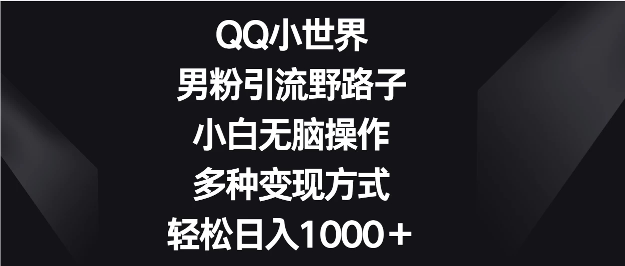 QQ小世界男粉引流野路子，小白无脑操作，多种变现方式轻松日入1000＋-屿汉资源站
