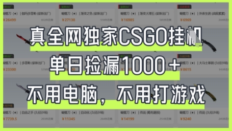 真全网独家CSGO挂G,单日捡漏1k+【揭秘】-屿汉资源站