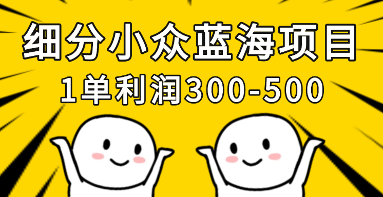 细分小众蓝海项目，一单利润300-500，每月收入稳定4w+-屿汉资源站