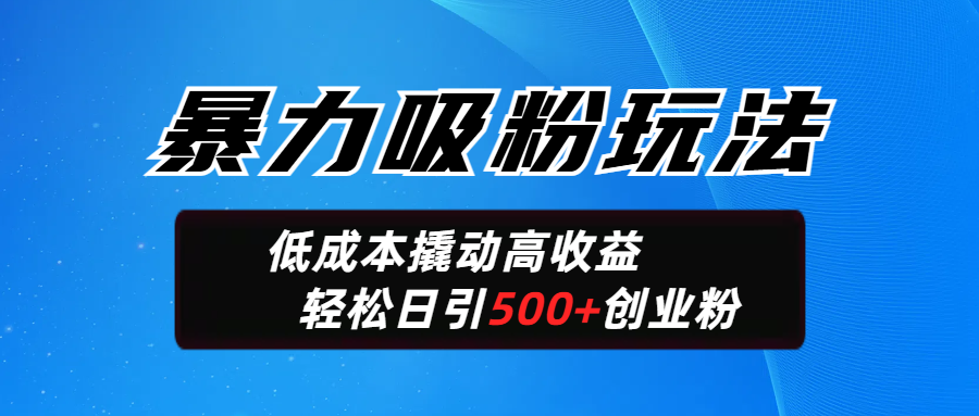 暴力吸粉玩法，日引500+精准创业粉，日变现轻松破2000-屿汉资源站