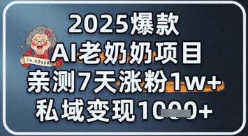 2025爆款 AI 老奶奶项目：亲测 7 天涨粉 1W+，私域变现 1k+-屿汉资源站