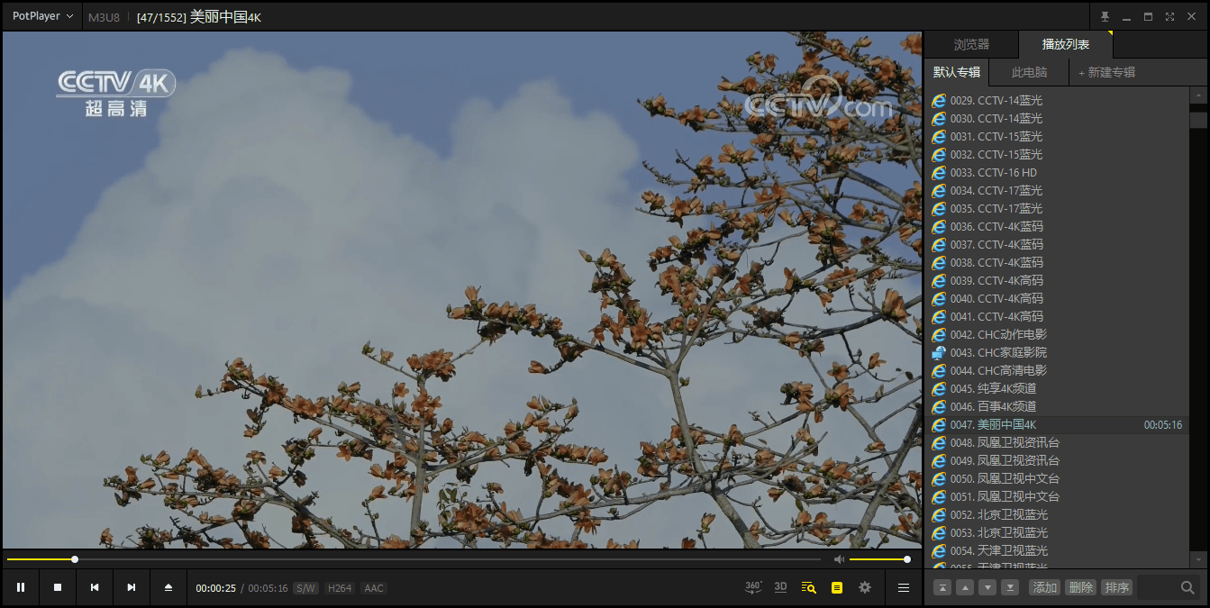 PotPlayer v1.7.22541绿色版-屿汉资源站