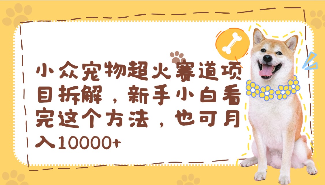 小众宠物超火赛道项目拆解，新手小白看完这个方法，也可月入10000+-屿汉资源站