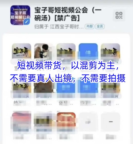 宝子哥头部团队短视频带货，以混剪为主，不需要真人出镜，不需要拍摄【更新】-屿汉资源站