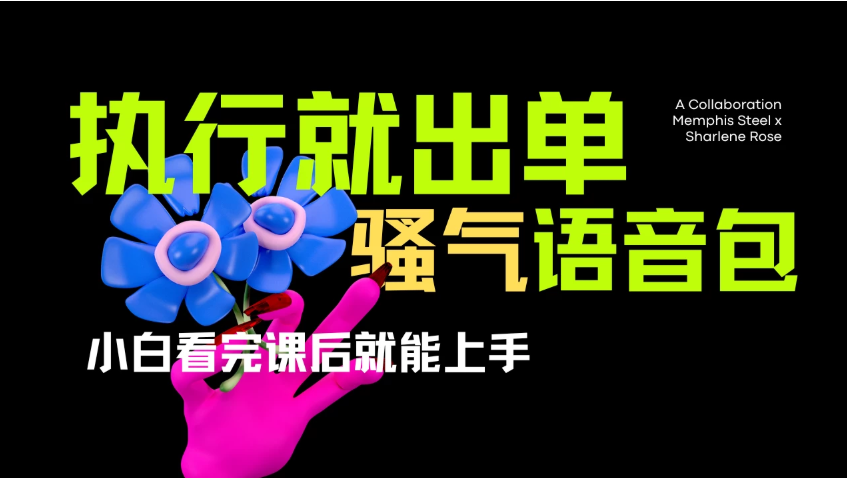 爆火全网的开车导航骚气语音包。只要执行就出单，小白看完课程就能实操，当天收益2000+-屿汉资源站
