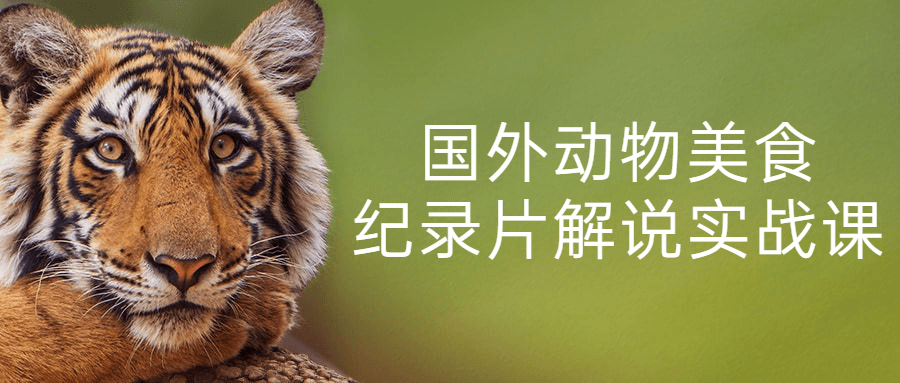 国外动物美食纪录片解说实战课-屿汉资源站