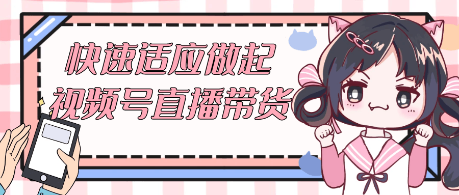 快速适应做起视频号直播带货-屿汉资源站
