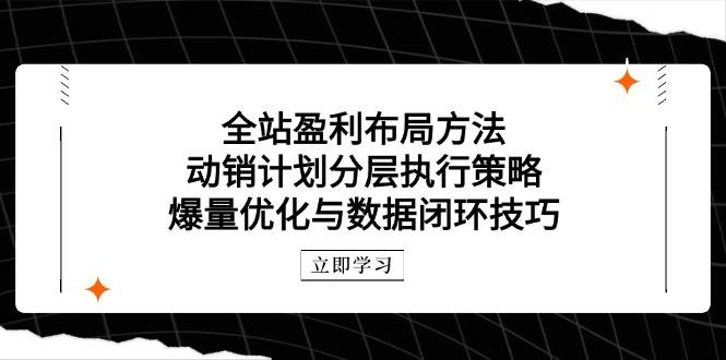 （14698期）全站盈利布局方法：动销计划分层执行策略，爆量优化与数据闭环技巧-屿汉资源站