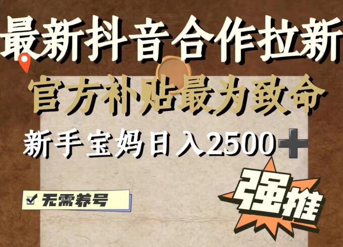 最新抖音合作拉新，新手宝妈日入2500+，无需养号，十分钟即可上手操作-屿汉资源站