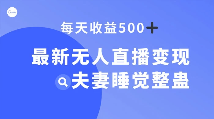 最新无人直播变现，夫妻睡觉整蛊，每天躺赚 500+-屿汉资源站