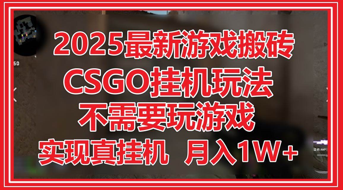 (14743期)2025最新游戏搬砖,CSGO挂机,不需要玩游戏,实现真挂机,月入1W+-屿汉资源站