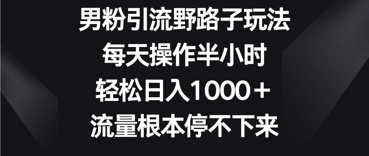 男粉引流野路子玩法，每天操作半小时轻松日入1000＋，流量根本停不下来-屿汉资源站